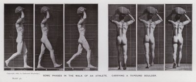 Lidská postava v pohybu: Některé fáze chůze sportovce nesoucího 75 liber těžký balvan (černobílá fotografie) od Eadweard Muybridge