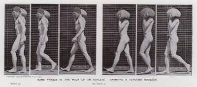 Lidská postava v pohybu: Některé fáze chůze sportovce nesoucího 75 liber těžký balvan (černobílá fotografie) od Eadweard Muybridge