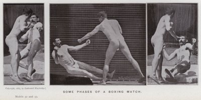 Závěsný od Eadweard Muybridge