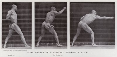 Lidská figura v pohybu: Některé fáze úderu pugilisty (černobílá fotografie) od Eadweard Muybridge