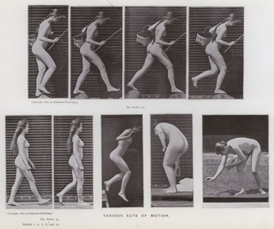 Lidská postava v pohybu: Různé pohyby (černobílá fotografie) od Eadweard Muybridge