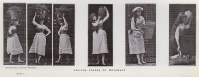 Lidská postava v pohybu: Různé fáze pohybu (černobílá fotografie) od Eadweard Muybridge