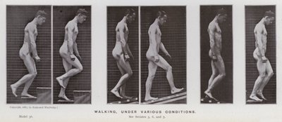 Lidská postava v pohybu: Chůze za různých podmínek (černobílá fotografie) od Eadweard Muybridge