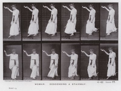 Závěsný od Eadweard Muybridge