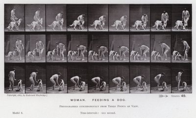 Lidská postava v pohybu: Žena krmící psa (č/b foto) od Eadweard Muybridge