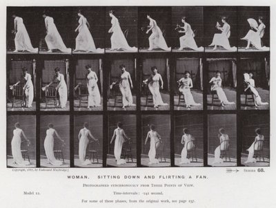 Závěsný od Eadweard Muybridge