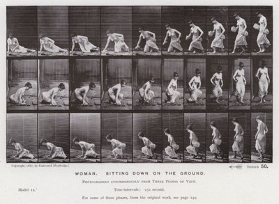 Závěsný od Eadweard Muybridge