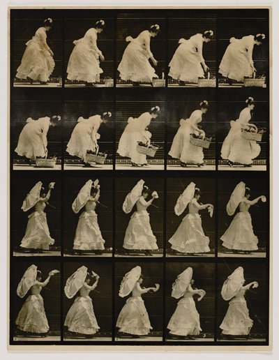 Žena zvedající koš a mávající kapesníkem, z knihy Animal Locomotion (Pohyb zvířat) od Eadweard Muybridge
