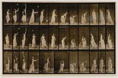 Žena házející kapesník do vzduchu a zvedající ho, z knihy Animal Locomotion (Pohyb zvířat) od Eadweard Muybridge