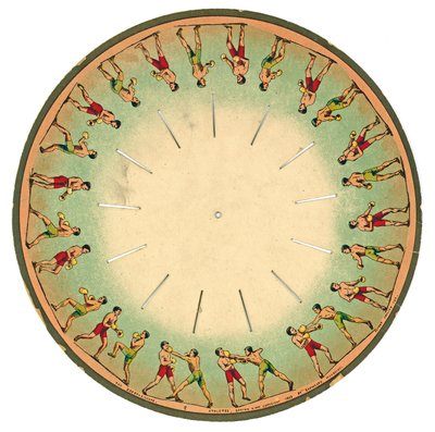 disk zoopraxiskopu zobrazující mužský box, 1893 od Eadweard Muybridge