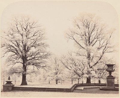 Mráz, scéna z parku,1862 (foto) od Earl of Caithness