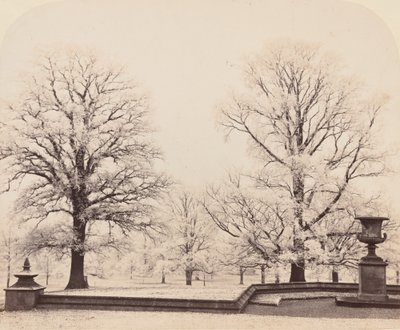 Jinovatka, parková scéna, 1862. od Earl of Caithness James Sinclair