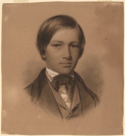 Portrét mladého muže od Eastman Johnson