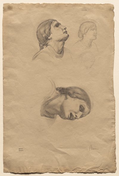 Čtyři studie o hlavě mladé italské ženy, 1856. od Edgar Degas