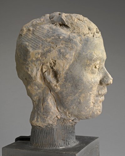 Head, Study for a Portrait of Mme Salle, c.1892 (hlína, kovová armatura, na dřevěném podstavci) od Edgar Degas