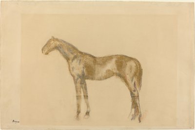 Kůň od Edgar Degas