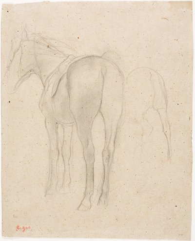 Studie koně od Edgar Degas