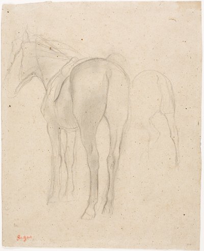 Studie koně od Edgar Degas