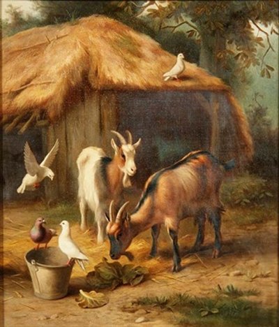 Kozy a holubi na dvoře od Edgar Hunt