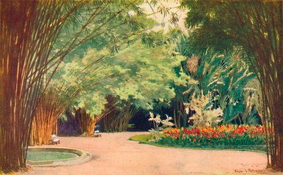 Bamboo Grove - Botanická zahrada, 1914 od Edgar L. Pattison