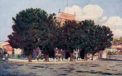 Hotel dos Estrangeiros, navštěvovaný oficiálním světem Ria a významnými cizinci (barevné lito) od Edgar L. Pattison