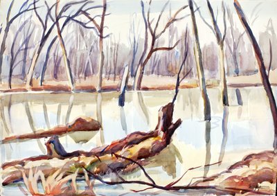 Rock Creek, zima, ca. 1920-1929. od Edgar Nye