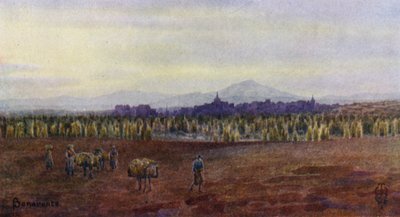 Severní Španělsko: Benavente, shora most Castro Gonzalo (barevné lito) od Edgar T. A. Wigram