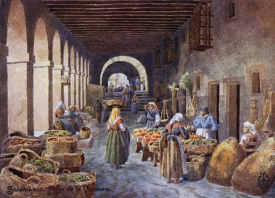 Severní Španělsko: Salamanca, Arkády na Plaza de la Verdura (barevné lito) od Edgar T. A. Wigram