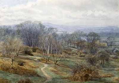 Hampstead Heath Looking Towards Harrow on the Hill, cca 1880 (wc na papíře) od Edith Martineau