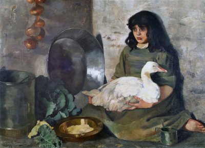 Husí dívka od Edith Oenone Anna Somerville
