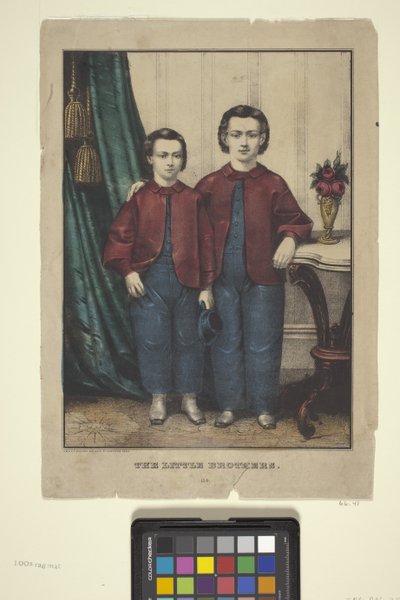 Malí bratři (ručně kolorovaná litografie) od Edmund Burke Kellogg