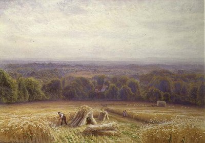 Sklizeň od Edmund George Warren