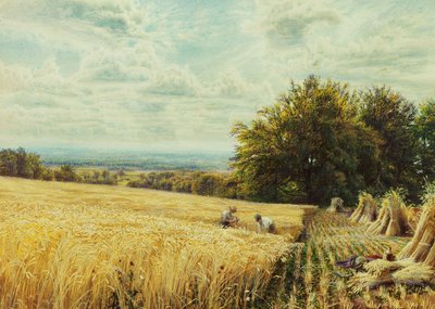 The Harvesters, 1865 od Edmund George Warren