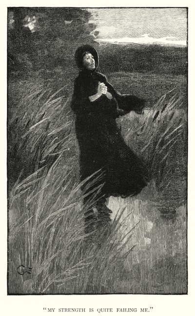 Ilustrace pro Jane Eyre od Charlotte Bronte (rytina) od Edmund Henry Garrett