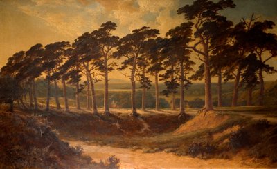 Harrow from the First, Hampstead Heath, 1875 od Edmund John Niemann