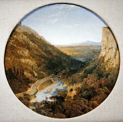 Matlock Vale z Tor, Derbyshire (olej na plátně) od Edmund John Niemann