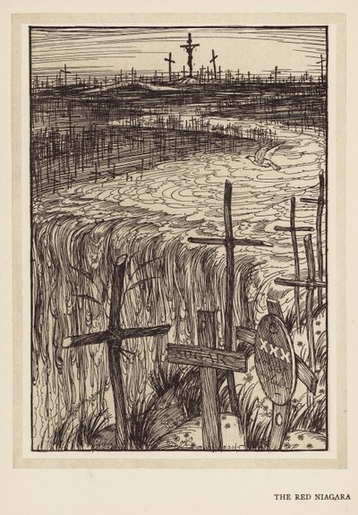 Kaiserův věnec: Červená Niagara (litografie) od Edmund Joseph (after) Sullivan