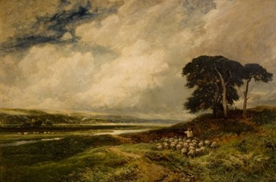 Krajina s ovcemi, 1899 od Edmund Morison Wimperis