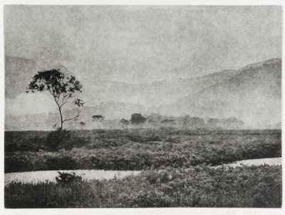 Oze Mist, 1993 od Edouard Cremieux