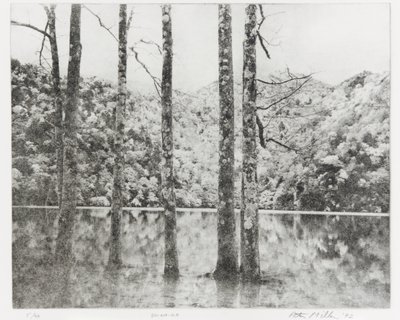 Toki-Noko, 1992 od Edouard Cremieux