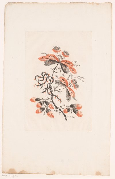 Květiny a poupata Fleurs Idealle (název série) od Edouard Gautier Dagoty