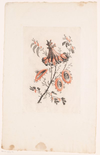 Květiny ve tvaru slunečníku Fleurs Idealle (název série) od Edouard Gautier Dagoty