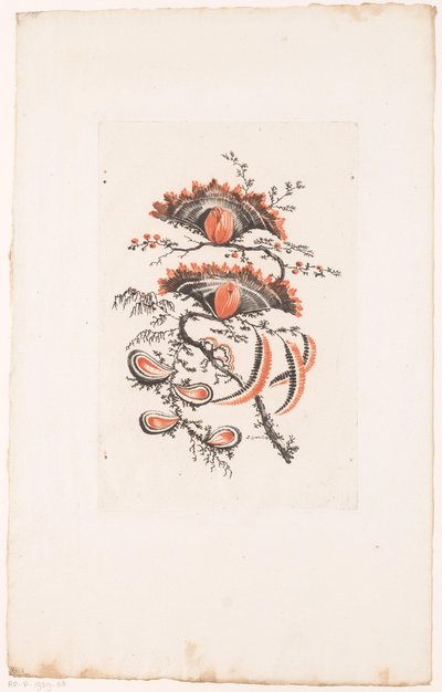 Vějířovité květy Fleurs Idealle (název série) od Edouard Gautier Dagoty