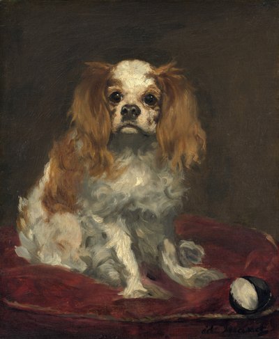 King Charles španěl od Édouard Manet