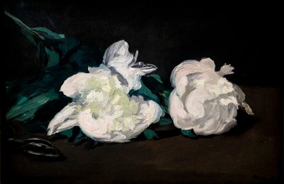 Větev bílé pivoňky a zahradnické nůžky od Édouard Manet
