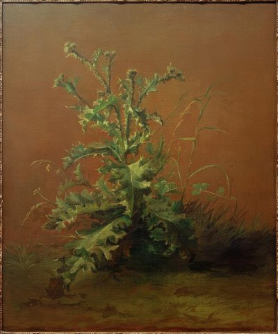Bodlák od Édouard Manet