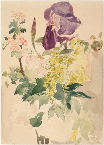 Květinový kus s kosatcem, laburnem a geraniem, 1880 od Édouard Manet