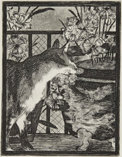 Le chat et les fleurs (Kočka a květiny) od Édouard Manet