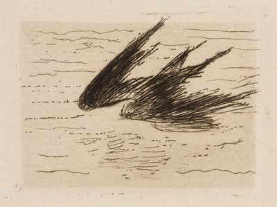 Vlaštovky, talíř 8 z knihy Le Fleuve od Édouard Manet