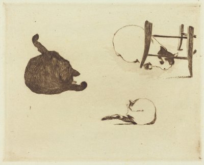 The Cats (Les chats) od Édouard Manet